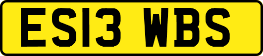 ES13WBS