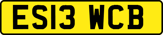 ES13WCB