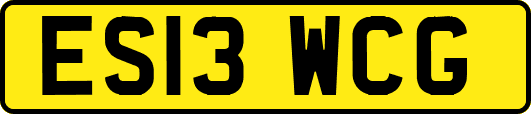 ES13WCG