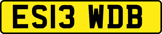 ES13WDB