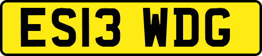 ES13WDG
