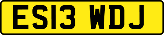 ES13WDJ