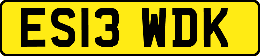 ES13WDK