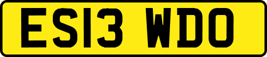 ES13WDO