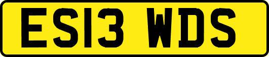 ES13WDS