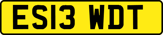 ES13WDT