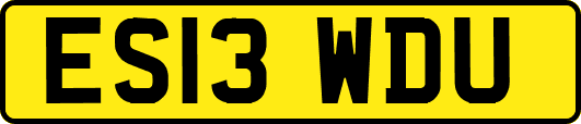ES13WDU