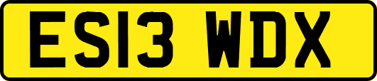 ES13WDX