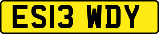 ES13WDY