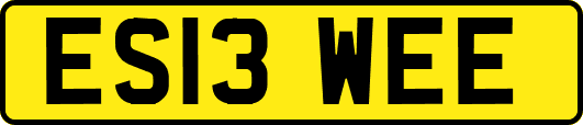 ES13WEE