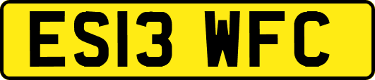 ES13WFC