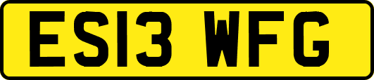 ES13WFG