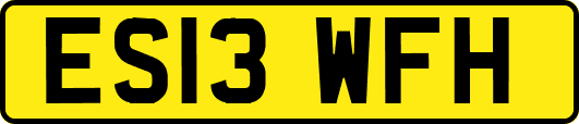 ES13WFH