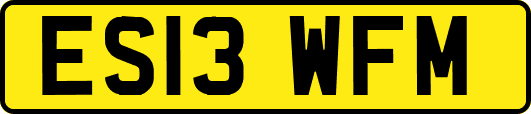 ES13WFM