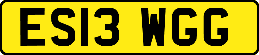 ES13WGG