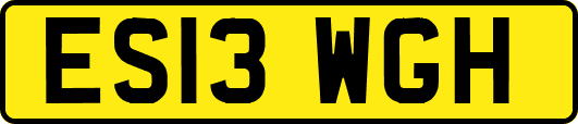 ES13WGH
