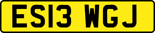 ES13WGJ