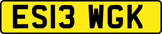 ES13WGK