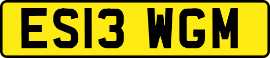 ES13WGM