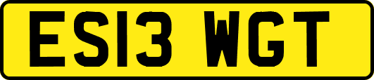 ES13WGT