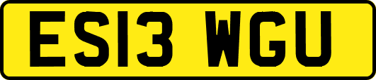 ES13WGU