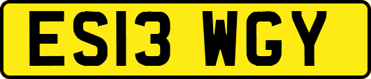 ES13WGY