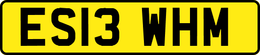 ES13WHM