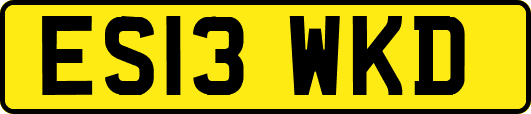 ES13WKD