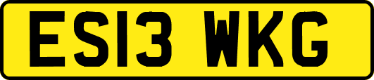 ES13WKG
