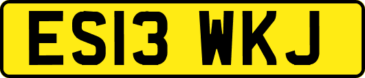 ES13WKJ