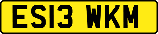 ES13WKM
