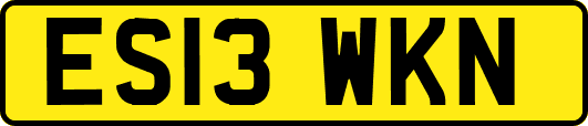 ES13WKN