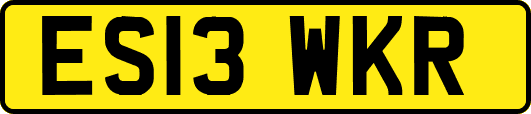 ES13WKR