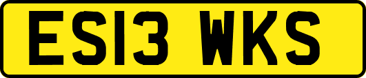 ES13WKS