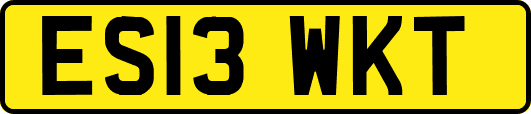 ES13WKT