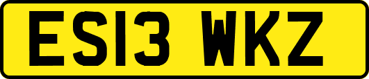 ES13WKZ