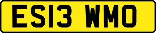 ES13WMO