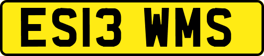 ES13WMS