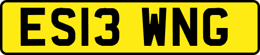 ES13WNG