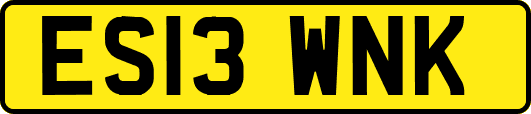 ES13WNK