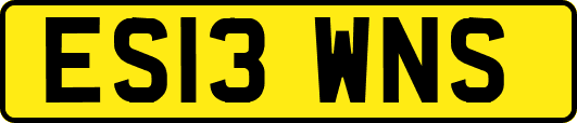 ES13WNS