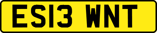 ES13WNT