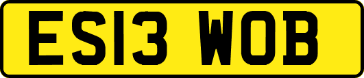 ES13WOB