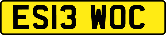 ES13WOC