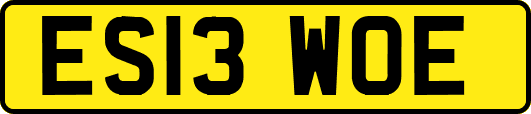 ES13WOE