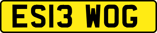 ES13WOG