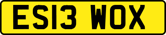 ES13WOX