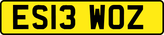 ES13WOZ