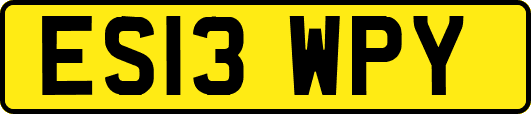 ES13WPY