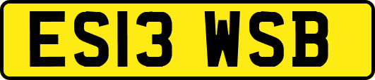 ES13WSB
